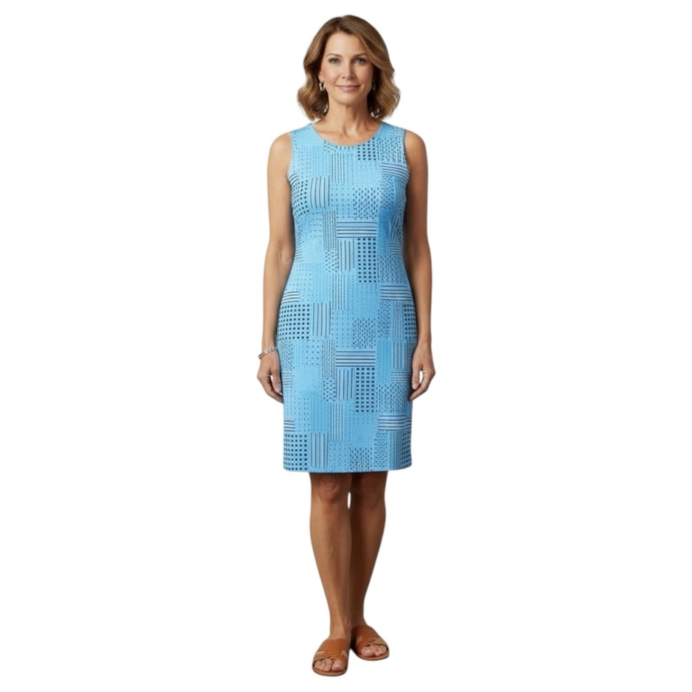 J. McLaughlin Dress Women’s Size Small‎ Blue White Sophia Shift Sleeveless